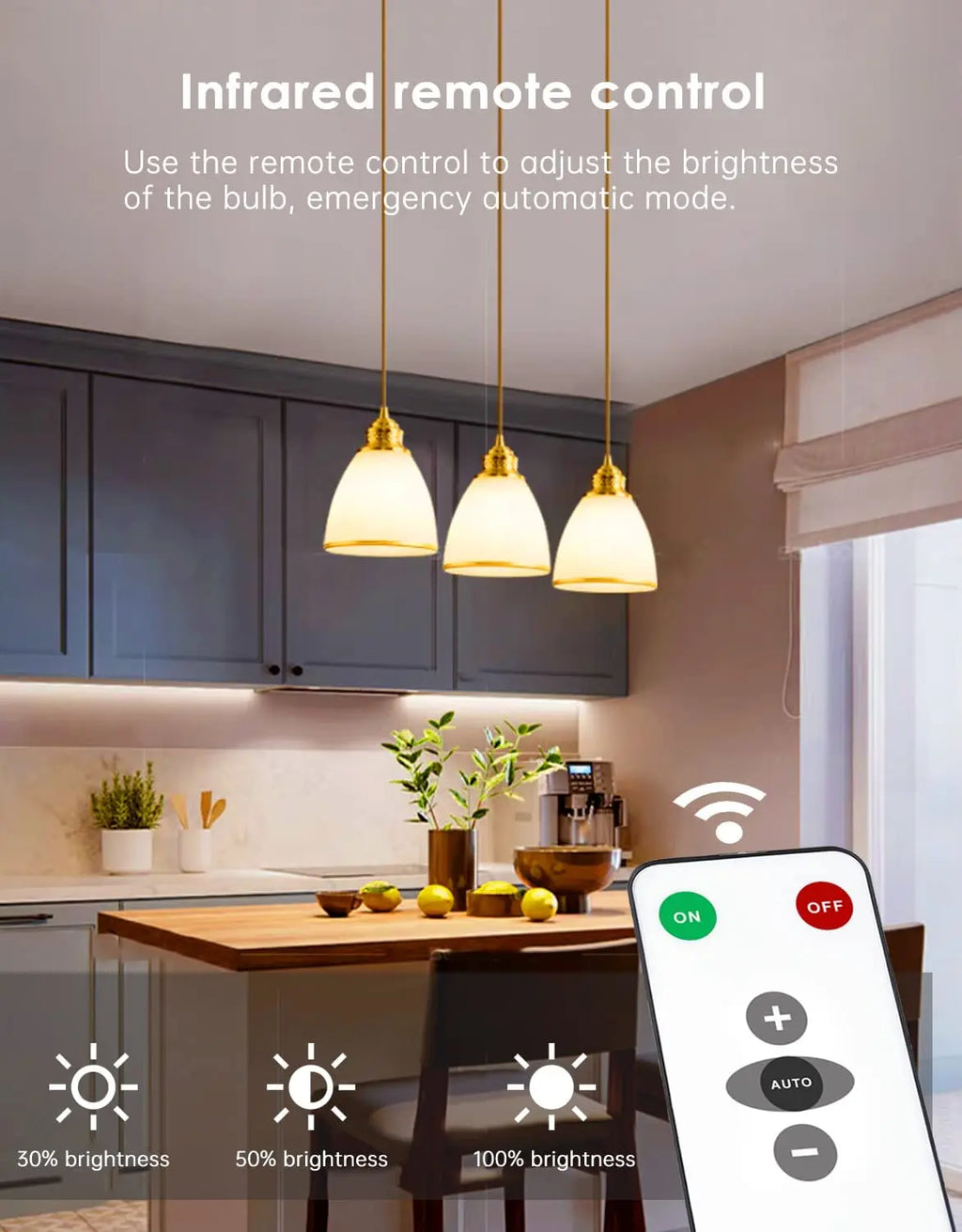 15W Rechargeable Light Bulbs with Remote,  Dimmable Battery Powered Light Bulbs,  A19 Emergency LED Light Bulbs, 2 Pac