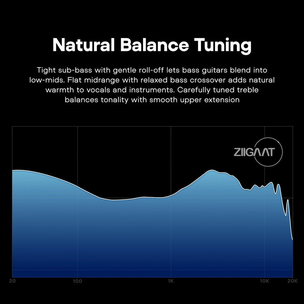 Linsoul ZiiGaat Horizon 1DD + 2BA + 2 Planar Tribrid IEM Earphones Natural Tonal Balance with  Custom Interchangeable Cable