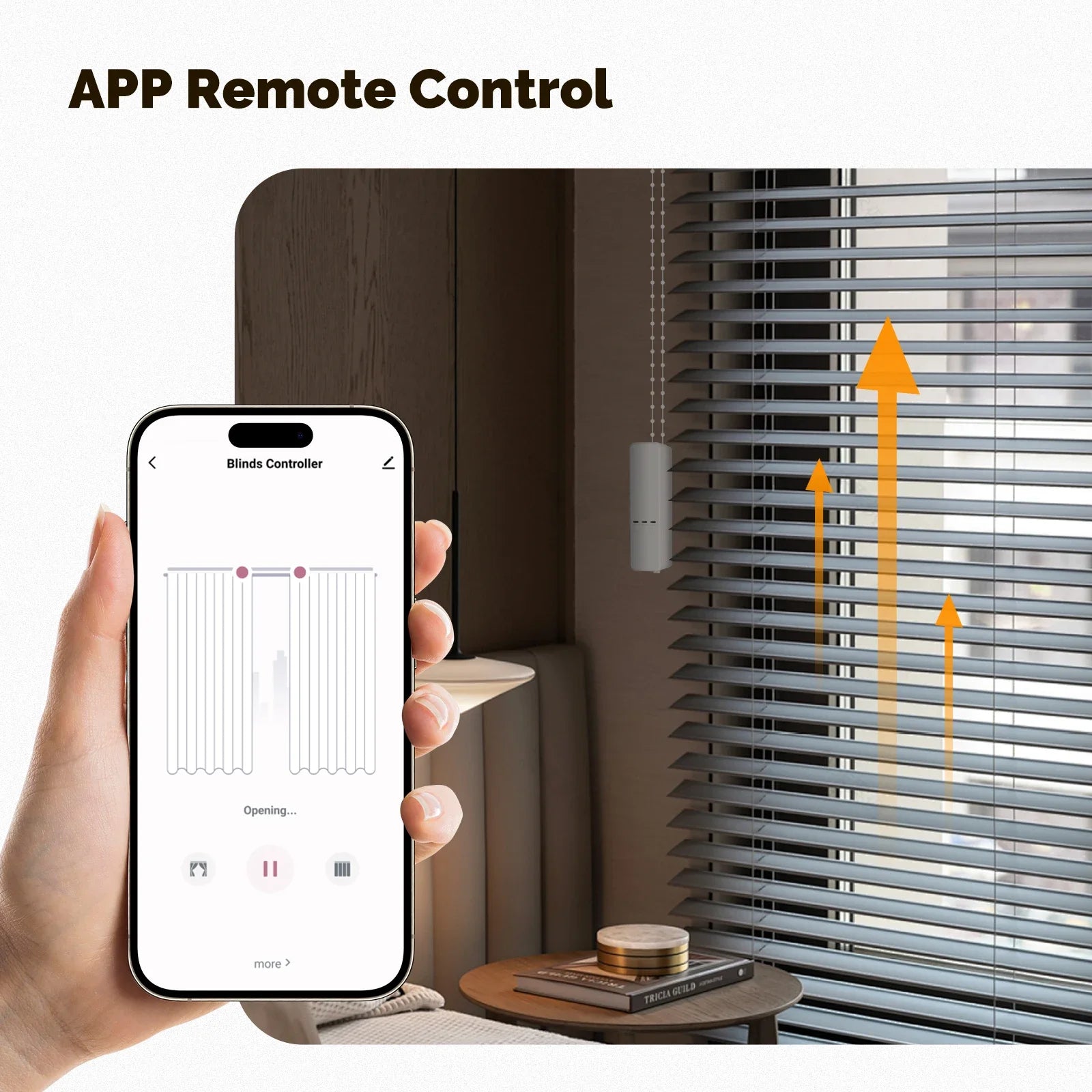 MOES Tuya Zigbee Smart Chain Roller Blinds Shade Shutter Drive Electric Curtain Motor App Control Works with Alexa Google Home