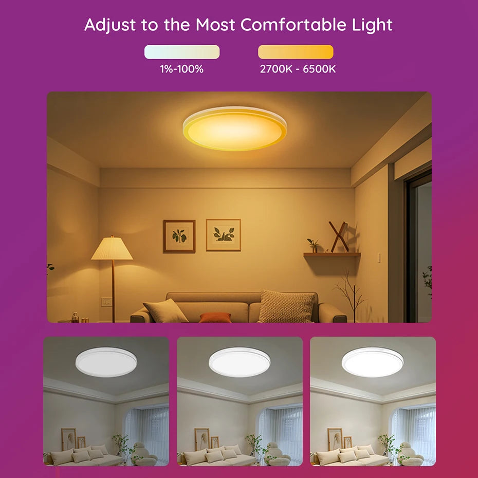 24W RGB Modern WiFi Smart Ceiling Lamp Ultrathin Surface Mounting Dimmable with APP+Remote Voice Control for Home Lighting