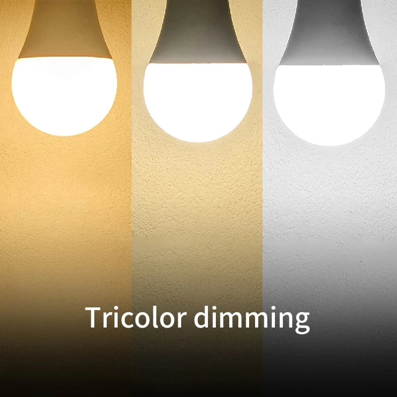 12PCS E27/E14/B22 LED Bulbs AC220V – 3W to 20W Warm, Cool & Natural White Lamps