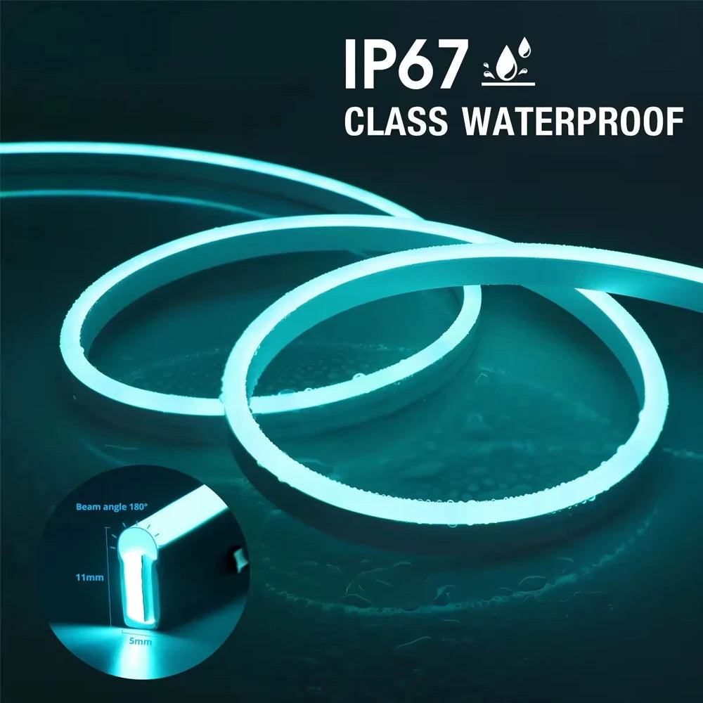 أضواء شريط LED نيون من Wiscolor WiFi RGBIC (TUYA Smart Life، تحكم صوتي، مقاومة للماء)
